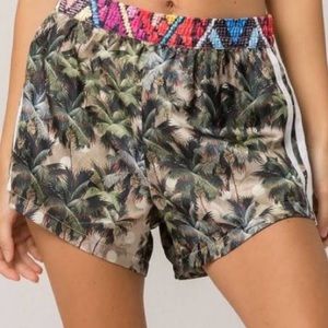 Adidas Originals Farm Shorts